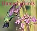 Hummingbirds 2010 (Calendar)