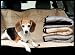 Organic Quilted Car Seat Cover: Silver