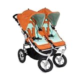 BumbleRide 2010 Indie Twin Stroller
