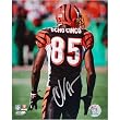 Chad Johnson Autographed Ocho Cinco 8x10 Photograph Sports Football