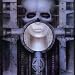 Brain Salad Surgery
