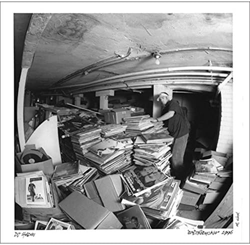 DJ Shadow - Domestic Poster