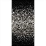 Chandra Rugs SAN5533 Sani Grey Shag Rug Size: 2 x 3