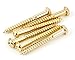 Fender Vintage-Style Stratocaster Bridge Mounting Screws for Electric Guitar