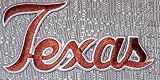 NCAA Texas LONGHORNS "Texas" Name Logo Embroidered PATCH
