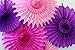 5-Piece Tissue Paper Fans, Purple Pink Party