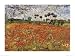 Field of Poppies, Auvers-Sur-Oise, c.1890 Scenic Art Poster Print by Vincent van Gogh, 32x24