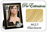 18 Inch Platinum Highlight Streaks Pro Extensions Premier Human Hair Extensions