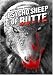 Search : Psycho Sheep of Butte