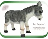 Eigenschaften   / Esel 