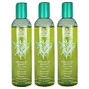 Bain De Terre Botainical Boost Volumizing Shampoo 10.2oz - *3 for 1 Price*