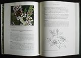 Gardening for fragrance