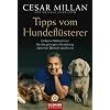 Tipps vom Hundefl�sterer: Einfache Ma�nahmen f�r die gelungene Beziehung zwischen Mensch und Hund