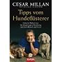 Tipps vom Hundefl�sterer: Einfache Ma�nahmen f�r die gelungene Beziehung zwischen Mensch und Hund