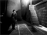 Image de Les Lumières de la ville [Blu-ray]