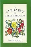 An alphabet of garden flowers