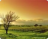 Produkt-Bild: Landschaft Weinberg Mousepad aus EPDM-Kautschuk elastisch abriebsicher PVC-frei 24x19,5 cm