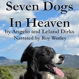 Seven Dogs in Heaven