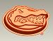 Florida Gator Silicone Cake Pan & Stand