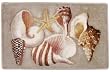 Expressions Sea Breeze Rug