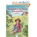 Huckleberry Finns Abenteuer