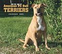 American Pit Bull Terriers, For the Love of 2009 Deluxe Wall Calendar (Multilingual Edition)