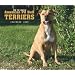 American Pit Bull Terriers, For the Love of 2009 Deluxe Wall Calendar (Multilingual Edition)