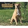 American Pit Bull Terriers, For the Love of 2009 Deluxe Wall Calendar (Multilingual Edition)