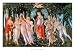 Primavera by Sandro Botticelli. Size 25.95 inches width by 16.73 inches height. High Quality Art Poster Print