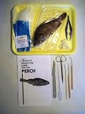 Perch Dissection Kit with Guide, Tray, Tools and Preserved Specimen