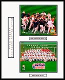 Option #1: 16x20 Unframed Collage Double Matted with Protective Sleeve - Boston Red Sox - 2007 Celebrate Game 4 & 2007 Team World Series at Fenway Park next to Green Monster - 16x20 Unframed Collage
