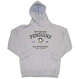 Pittsburgh Penguins - Penguins OTH Arch Gray Youth Hoody