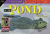 Look Once, Look Again: At the Pond (Look Once, Look Again Vol. 3)