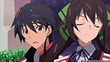Infinite Stratos Complete Collection [Blu-ray]