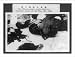 Historic Print (L): The Chinese people cruelly killed by Japanese troops on May 3