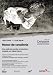 Honour of the Knights ( Honor de cavalleria ) [ NON-USA FORMAT, PAL, Reg.2 Import - S...