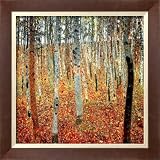 51gxc0k0cvL. SL160  Forest of Beech Trees, c.1903 Framed Art Poster Print by Gustav Klimt, 21x21