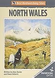 Best birdwatching sites in North Wales