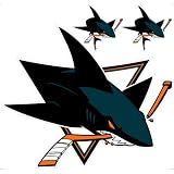 San Jose Sharks Removable Logo - 24x24