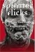 Splatter Flicks: How to Make Low-Budget Horror Films