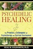 Psychedelic Healing: The Promise of Entheogens for Psychotherapy and Spiritua...