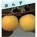 �Ԃ����ꂢ�ŕi���D�G!�@���a���񂸁@(�Ǖc��) ���i�摜