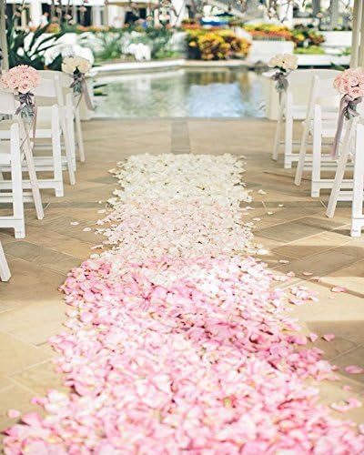 B&amp;Y 500PCS Silk Flower Rose Petals Wedding Party Decoration, Royal (Pink)