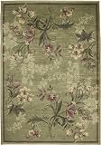 Rizzy Rugs SO-3128 9-Foot-10-Inch-by-12-Foot-10-Inch Sorrento Area Rug, Floral Green