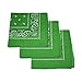 Set of 3 Large Cotton Paisley Bandanas - Green