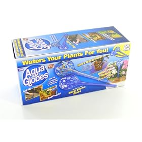 Aqua globe plant water system
