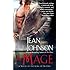 The Mage (Sons of Destiny)