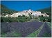 Ravensburger - Puzzle - Venterol, Drome Provencale - 1000 Pieces