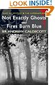 Not Exactly Ghosts/Fires Burn Blue (Wordsworth Mystery & Supernatural): AND Fires Burn Blue (Tales of Mystery & the Supernatural)