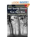 Not Exactly Ghosts/Fires Burn Blue (Wordsworth Mystery & Supernatural): AND Fires Burn Blue (Tales of Mystery & the Supernatural)